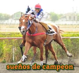 sueos de campeon