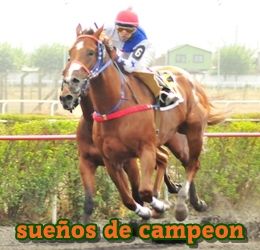 sueos de campeon