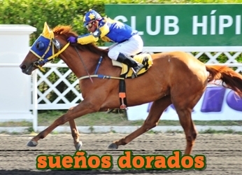 sueos dorados