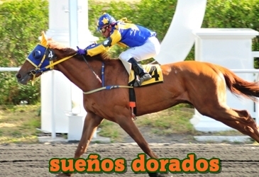 sueos dorados