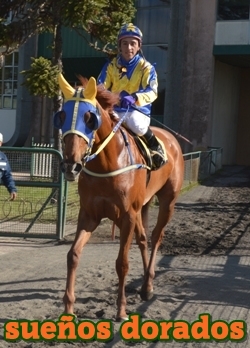 sueos dorados