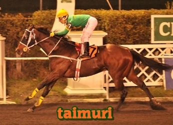 taimuri