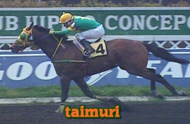 taimuri