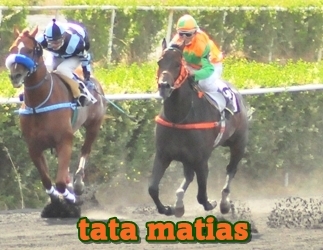 tata matias