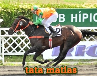 tata matias