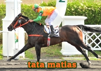 tata matias