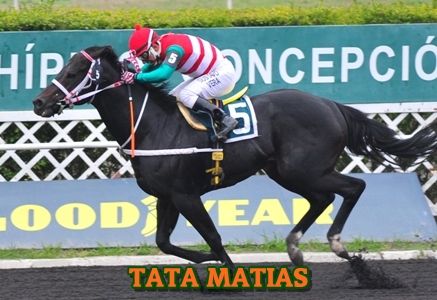 ejemplar TATA MATIAS