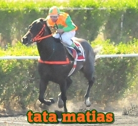 tata matias