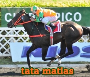 tata matias