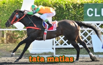 tata matas