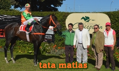 tata matias