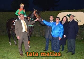 ejemplar caballo tata matias