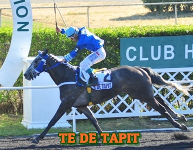 ejemplar TE DE TAPIT