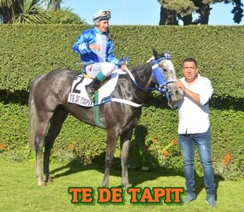 ejemplar TE DE TAPIT