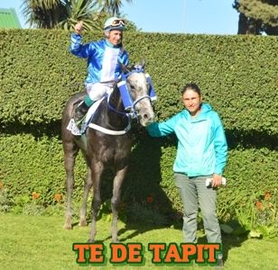 ejemplar TE DE TAPIT