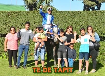 ejemplar TE DE TAPIT