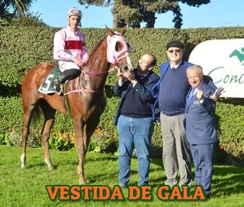 ejemplar VESTIDA DE GALA