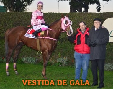 ejemplar VESTIDA DE GALA