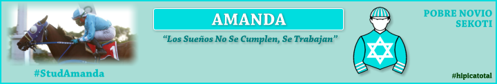stud AMANDA